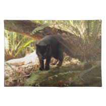 geoffroy-cat-006 placemats