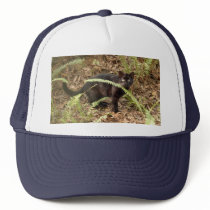 geoffroy-cat-007 hats by BCRcats geoffroy-cat-007 hats