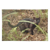 geoffroy-cat-007 placemats