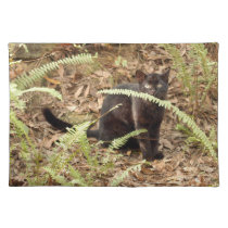 geoffroy-cat-008 placemats