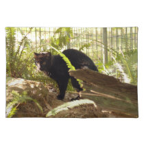 geoffroy-cat-009 placemats