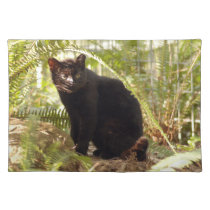 geoffroy-cat-010 placemats