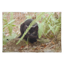 geoffroy-cat-011 placemats