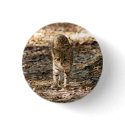geoffroy-cat-012 buttons