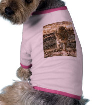 geoffroy-cat-012 pet clothing by BCRcats geoffroy-cat-012 pet clothing