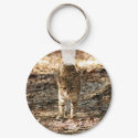 geoffroy-cat-012 keychains