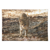 geoffroy-cat-012 placemats