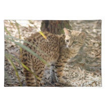 geoffroy-cat-013 placemats