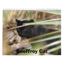 geoffroy-cat-014, Geoffroy Cat calendars