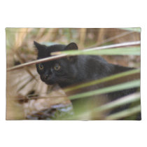 geoffroy-cat-014 placemats