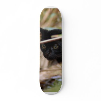 Geoffroy Cat 014 Skateboard by NatureByDesign