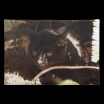 geoffroy-cat-016 placemats