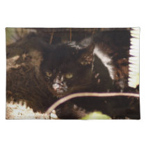 geoffroy-cat-016 placemats