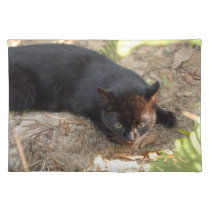 geoffroy-cat-017 placemats