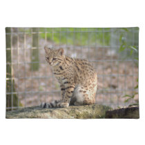 geoffroy-cat-018 placemats