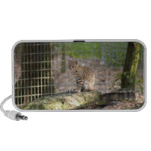 geoffroy-cat-018 travel speakers