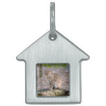 geoffroy-cat-019 placa de nombre de mascota