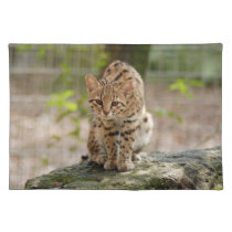 geoffroy-cat-020 placemats