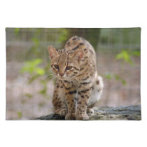 geoffroy-cat-021 placemats