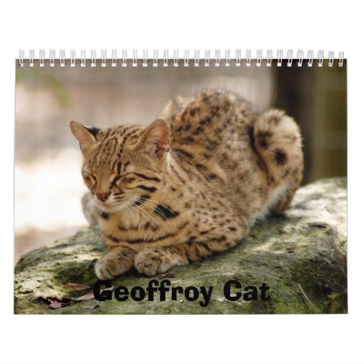 geoffroy-cat-023, Geoffroy Cat Wall Calendars by NatureByDesign