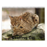 geoffroy-cat-023, Geoffroy Cat calendars