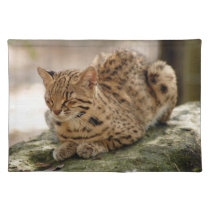geoffroy-cat-023 placemats