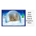 Geoffroy Cat-c-134 copy Photo Card