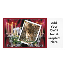 Geoffroy Cat-c-66 copy Picture Card