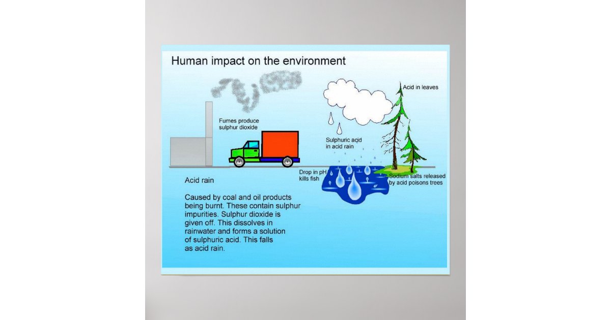 Geography, Human impact on the environment Poster | Zazzle