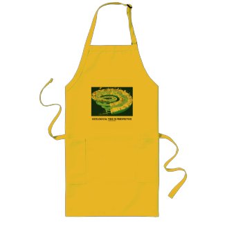 Geological Time In Perspective (Earth's History) Aprons