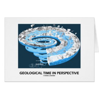 Geological Time In Perspective (Earth's History) Cards