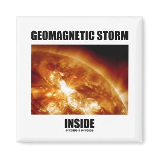 Geomagnetic Storm Inside (Solar Flares) magnet