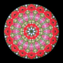 Geometric Kaleidoscope Magnet magnets