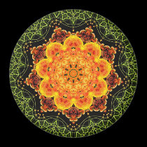 Geometry Batika Magnet magnets