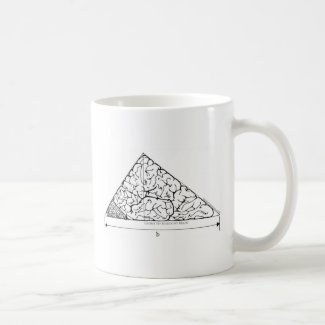 Geometry Hurts my Brain Mug mug