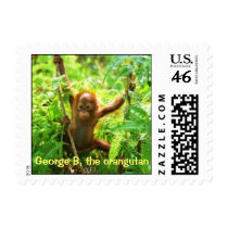 George B, Orangutan Baby Stamp