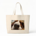 George bags