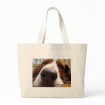 George bags