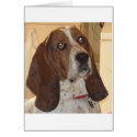 George cards by georgeegrunt George cards