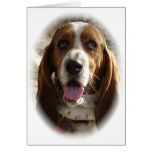 George Cards
