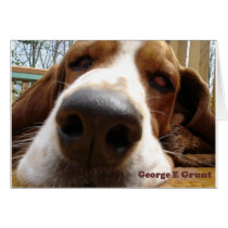 George Greeting Cards