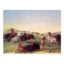 George Catlin - Buffalo Hunt postcards