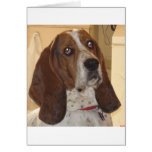 George Greeting Cards