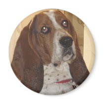 George magnets by georgeegrunt George magnets