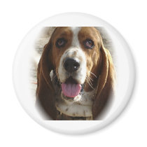 George magnets by georgeegrunt George magnets