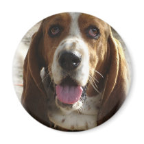 George Fridge Magnet