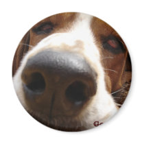 George Fridge Magnets