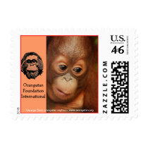 George Orangutan Orphan Stamps
