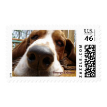 George Postage