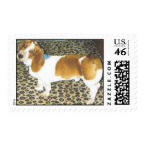 george postage